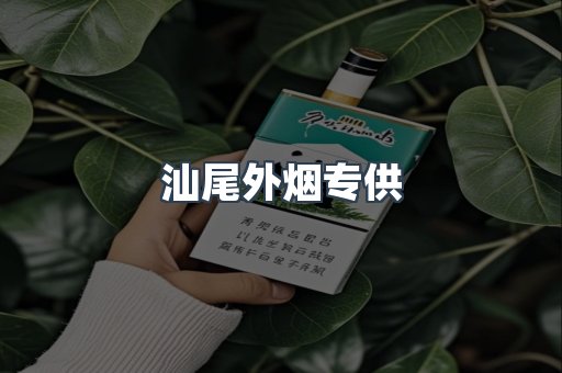 汕尾外烟专供
